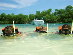 speed boat snorkel for family