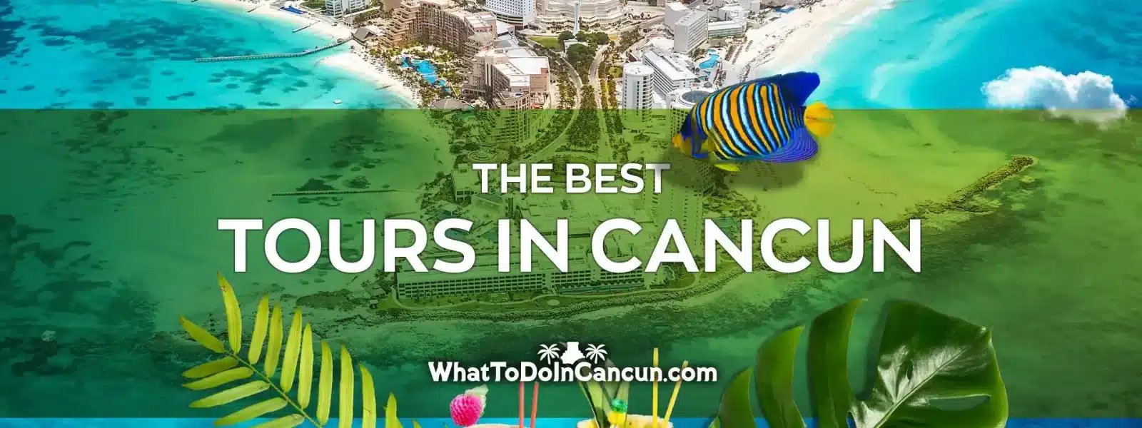 the best tours in cancun scaled