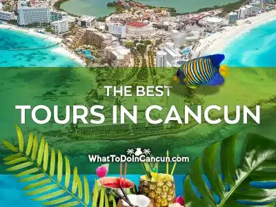 the best tours in cancun scaled