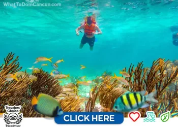 puerto-morelos-reef-snorkel-adventuring-tour-in-cancun