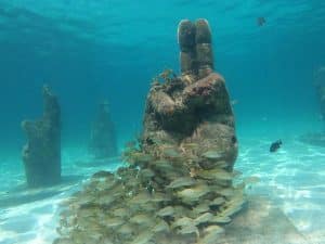 esculptures under the sea what to do in cancun tours