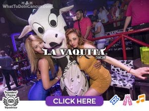 la vaquita cancun-nightclub-party-center