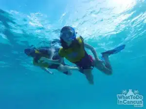 unique-things-to-do-in-cancun-open-waters-advanced-snorkel