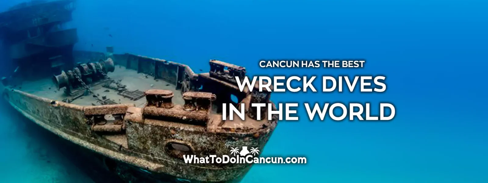 cancun-has-the-best-wreck-dives-in-the-world