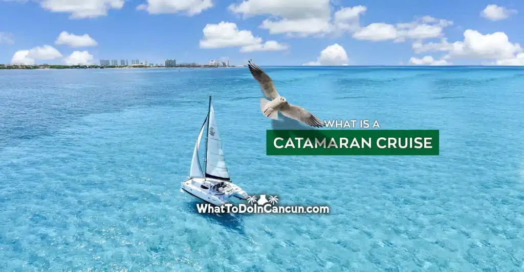 What is a Catamaran Cruise?