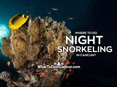 where-to-do-night-snorkeling-in-cancun