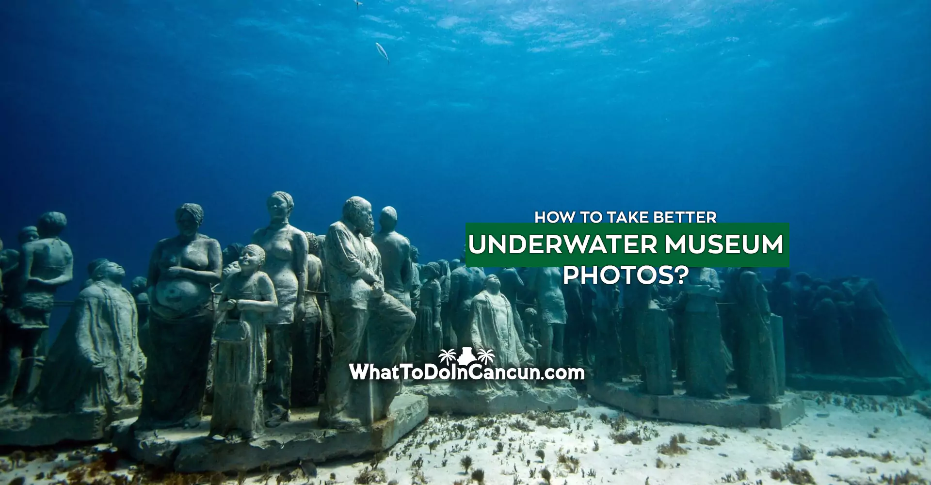 how to get to cancun underwater museum