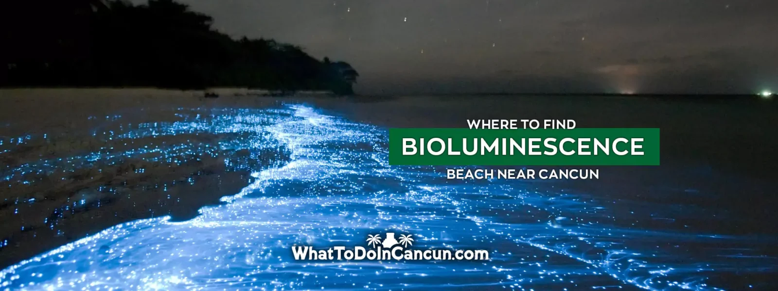 where-to-find-bioluminescence-beach-near-cancun