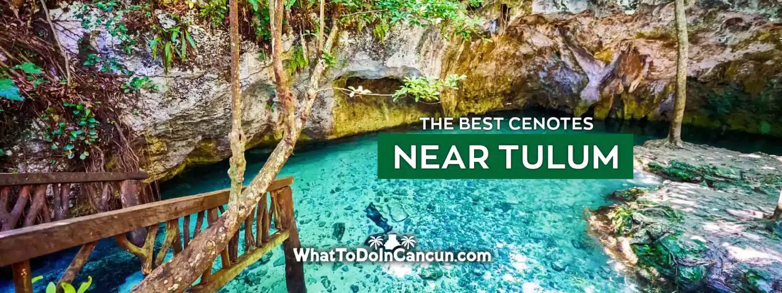 the-best-cenotes-near-tulum