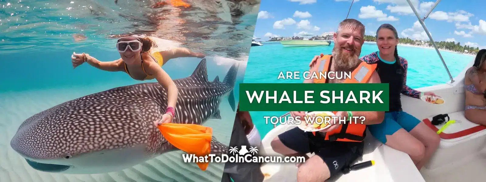 are-cancun-whale-shark-tours-worth-it