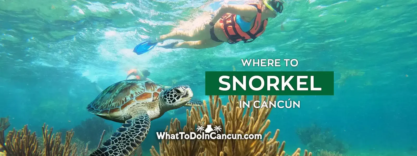 where-to-snorkel-in-cancun