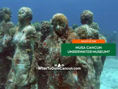 musa-cancun-underwater-museum