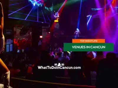 nightlife-in-cancun